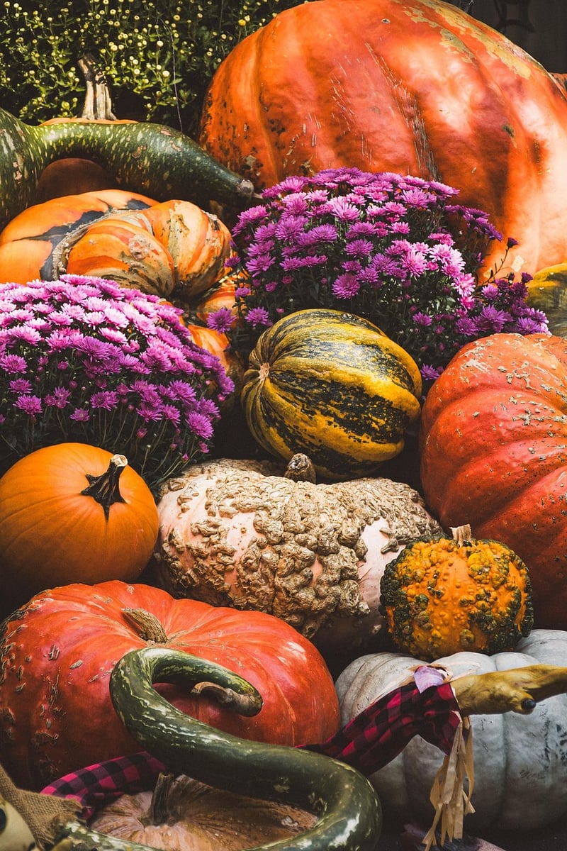 Magic Harvest