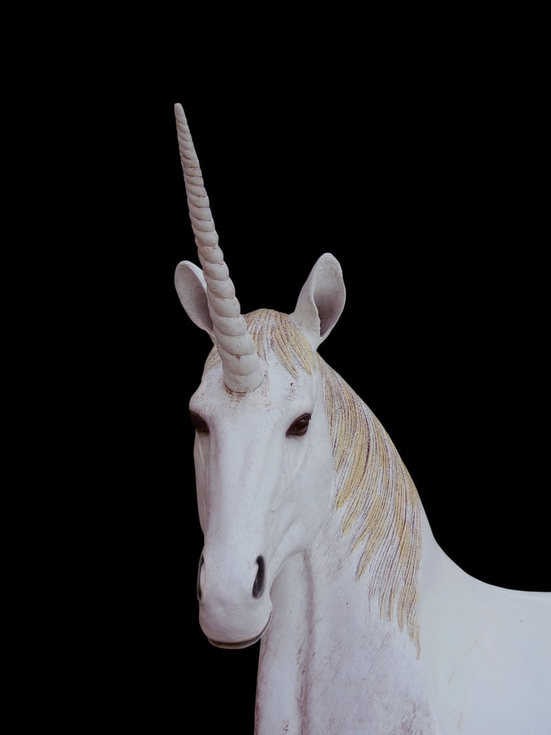 Unicorn Haven