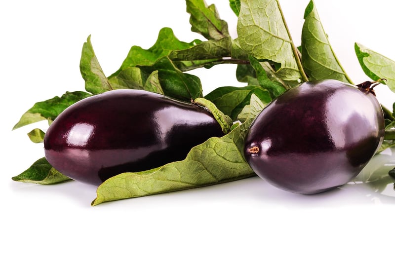 Enchanted Eggplant