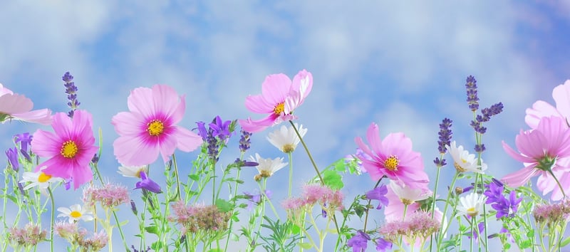 Otherworldly Garden